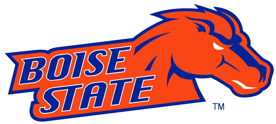 Boise State Broncos 2002-2012 Secondary Logo v25 iron on transfers for clothing